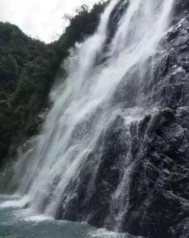 逃离橙园